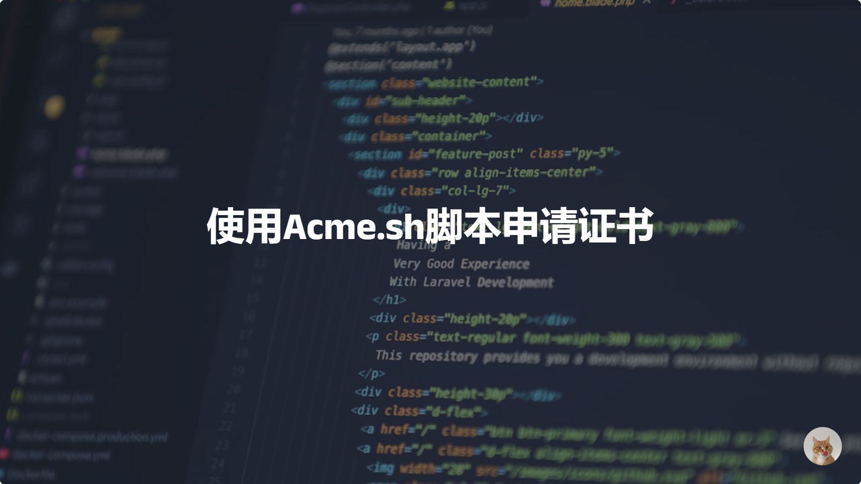 使用Acme.sh脚本申请证书